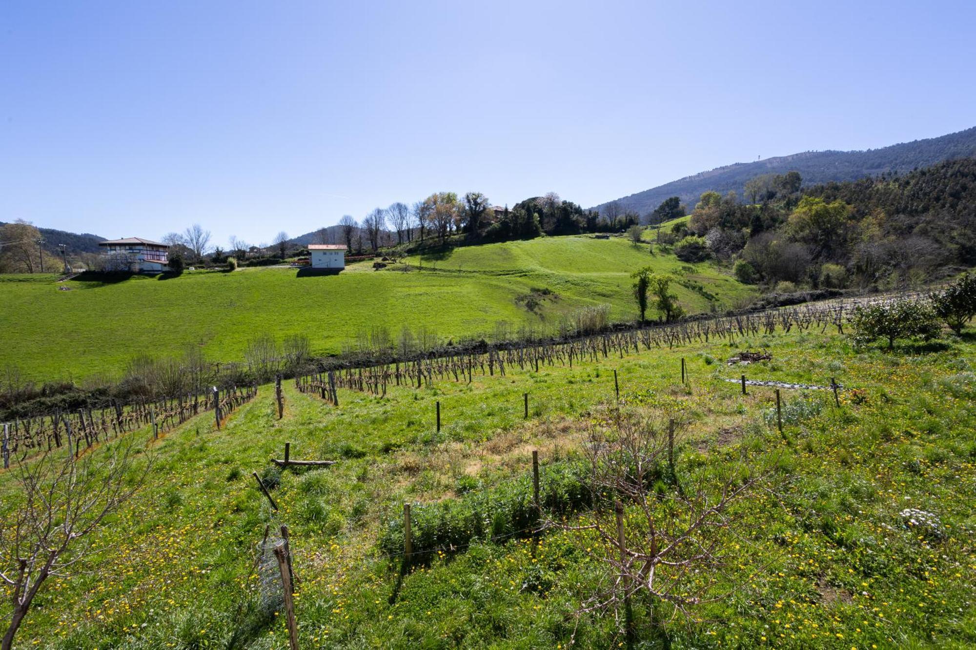Basarte Séjour à la campagne