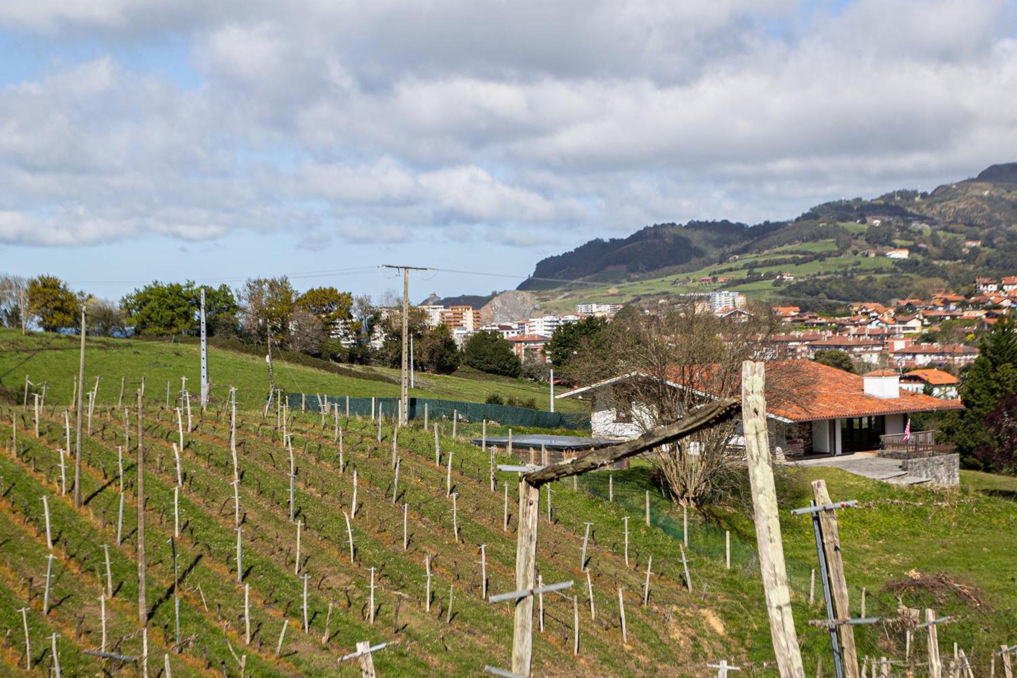 Country house Basarte